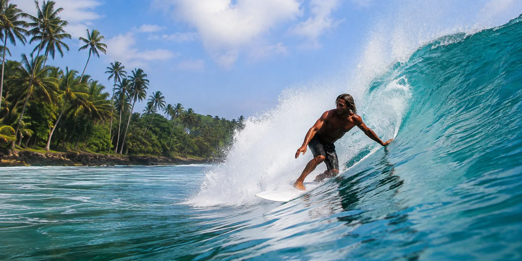 A surfer riding a clean wave off a palm-fringed south-coast beach in Sri Lanka.